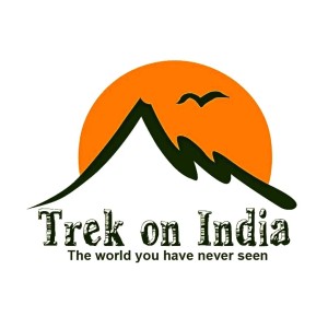 Project visuals for LaunchPad Campaign